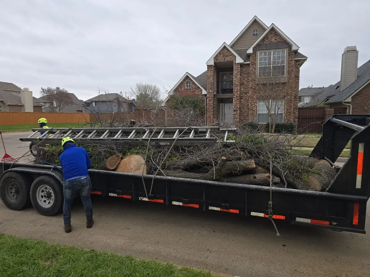 Expert Tree Pest Control with proper safety equipment in Pleasant Plains